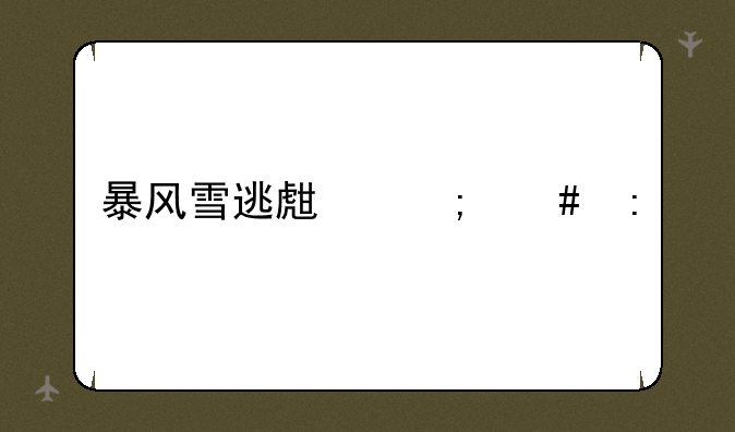 暴风雪逃生怎么玩