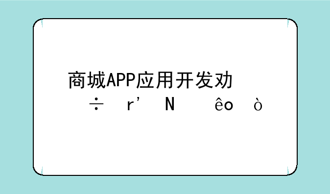 商城APP应用开发功能有哪些？