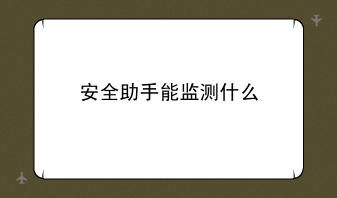 安全助手能监测什么