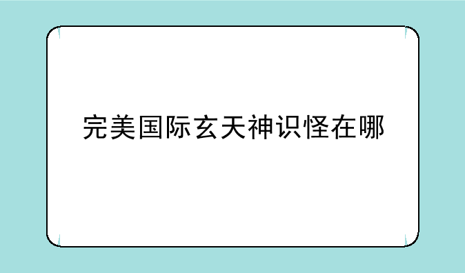 完美国际玄天神识怪在哪