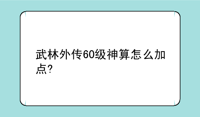 武林外传60级神算怎么加点?