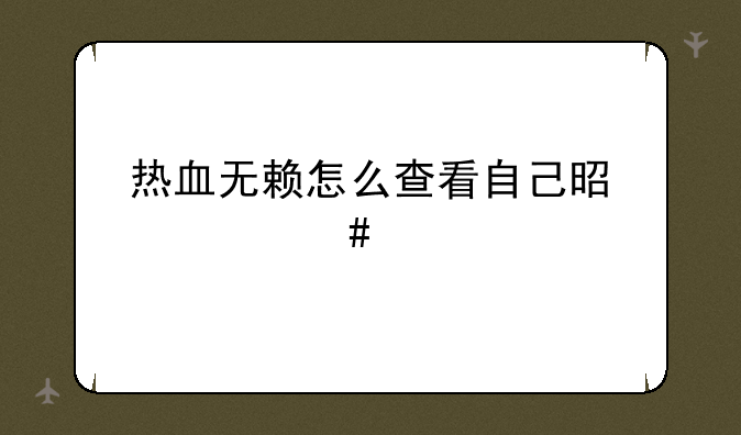 热血无赖怎么查看自己是什么版本的